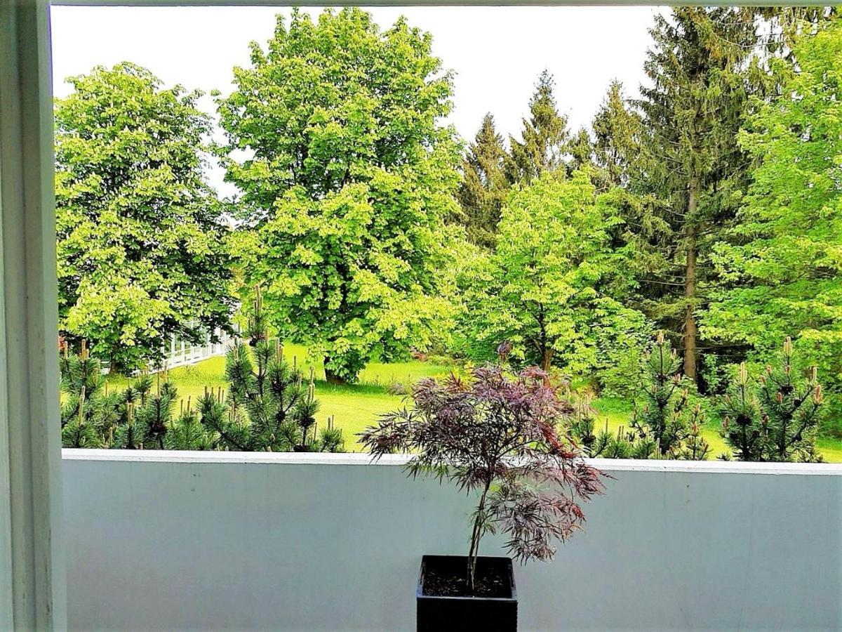 Grossdorf Ferienwohnung Waldsuite Im Harz Goslar Esterno foto