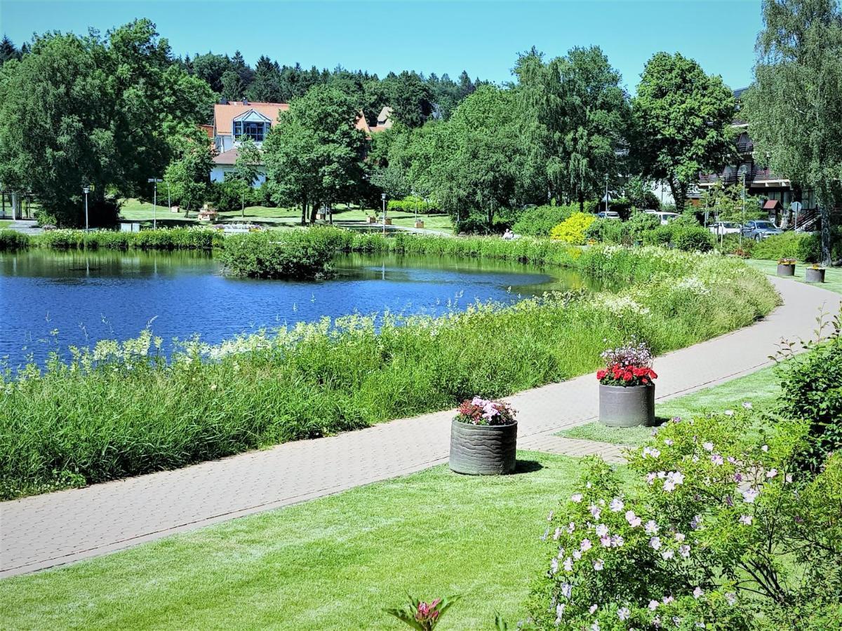 Grossdorf Ferienwohnung Waldsuite Im Harz Goslar Esterno foto