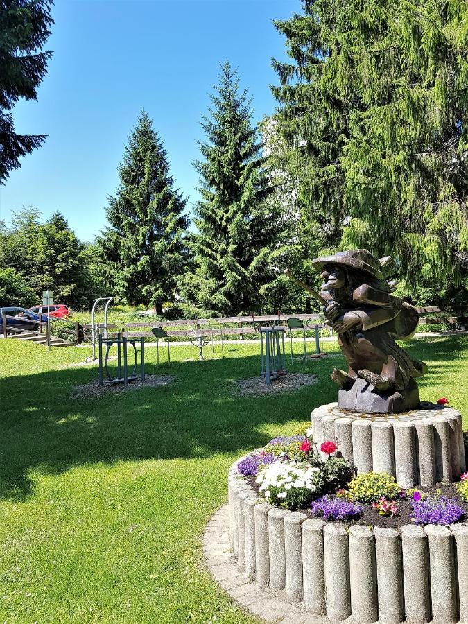 Grossdorf Ferienwohnung Waldsuite Im Harz Goslar Esterno foto