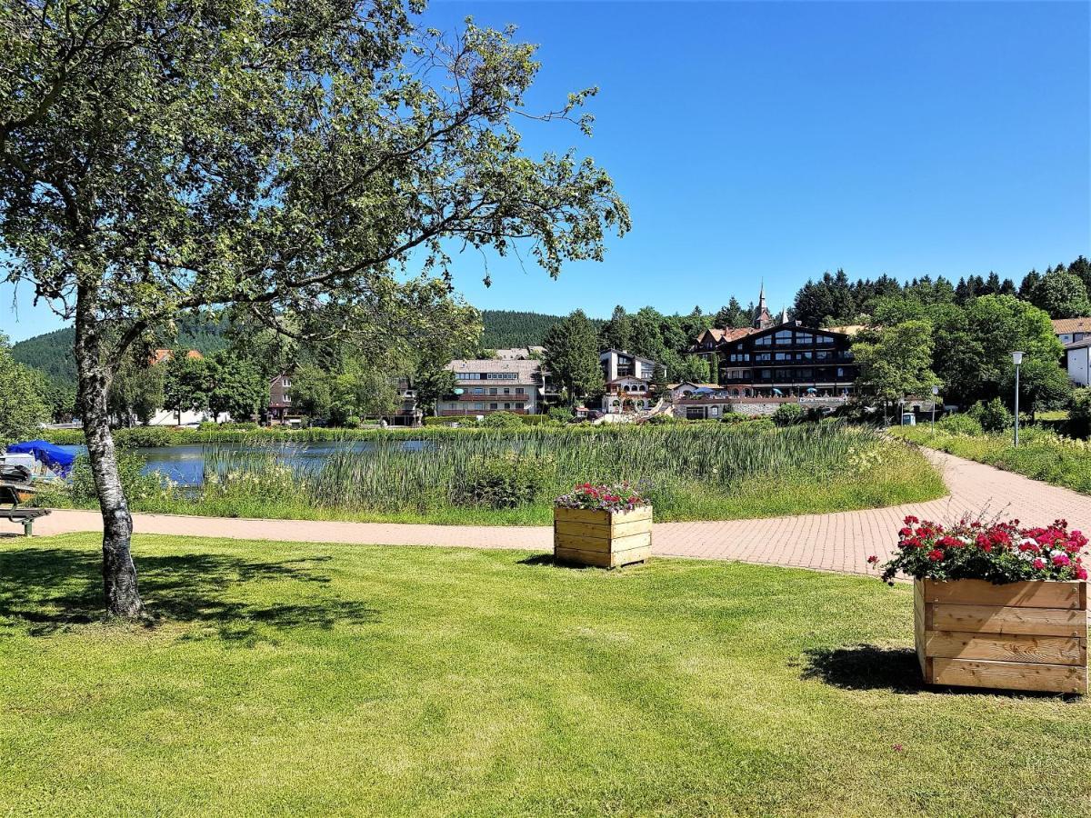 Grossdorf Ferienwohnung Waldsuite Im Harz Goslar Esterno foto