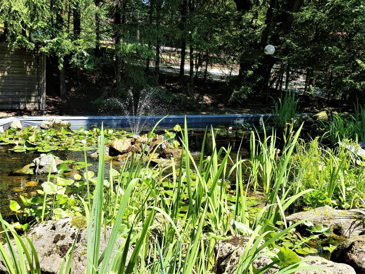 Grossdorf Ferienwohnung Waldsuite Im Harz Goslar Esterno foto