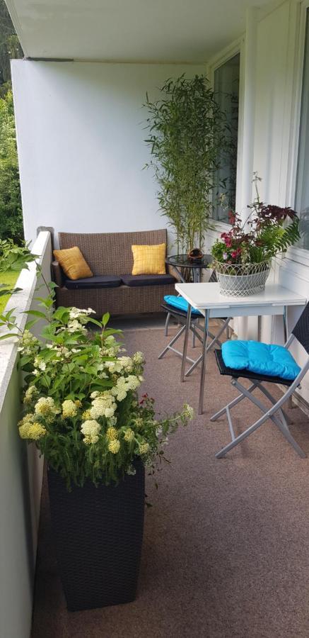 Grossdorf Ferienwohnung Waldsuite Im Harz Goslar Esterno foto